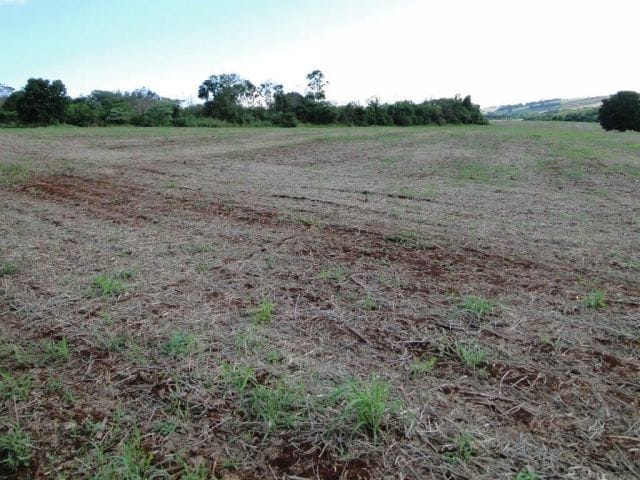 Área à venda, no bairro Parque Industrial Alicante em Londrina