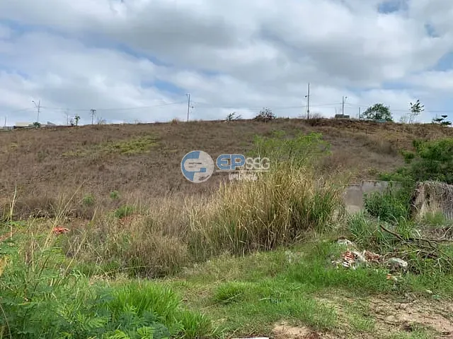 Terreno com 25800m², à venda, no bairro Contorno Norte em Ibiporã