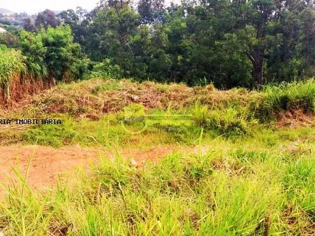 Terreno com 5900m², à venda, no bairro Vale Verde em Valinhos