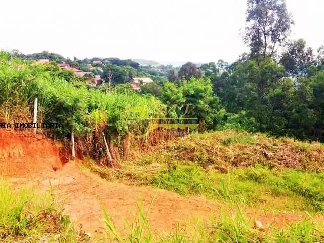 Terreno com 5900m², à venda, no bairro Vale Verde em Valinhos