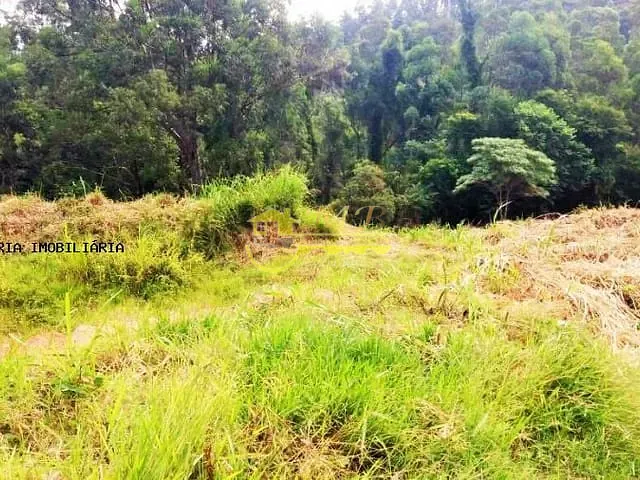 Terreno com 5900m², à venda, no bairro Vale Verde em Valinhos