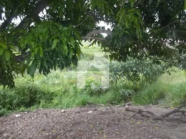 Terreno com 21420m², à venda, no bairro Vila Ipê (Botujuru) em Campo Limpo Paulista
