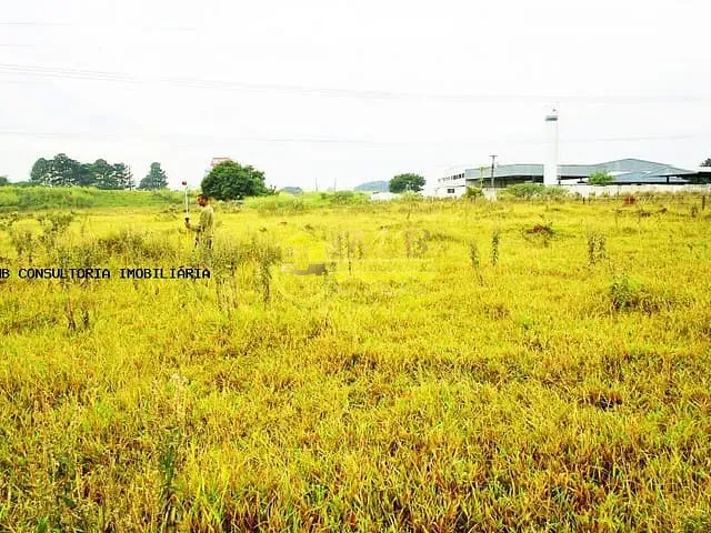 Terreno com 42323m², à venda, no bairro Parque Santa Barbara em Monte Mor