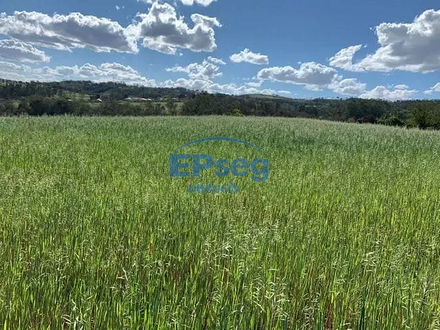 Terreno com 20005m², à venda, no bairro Limoeiro em Londrina