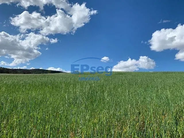 Terreno com 20005m², à venda, no bairro Limoeiro em Londrina
