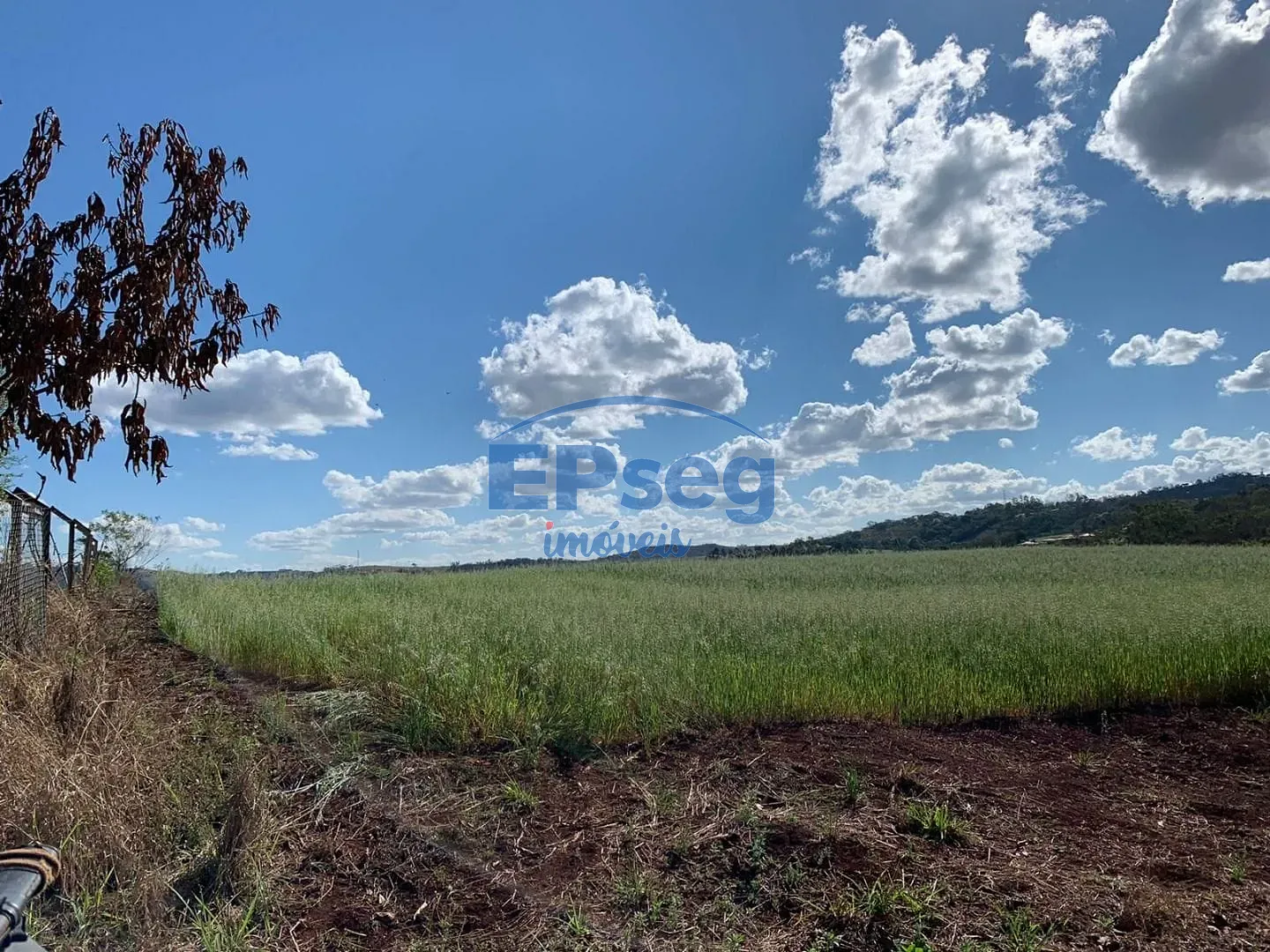 Terreno, 2 hectares - Foto 11