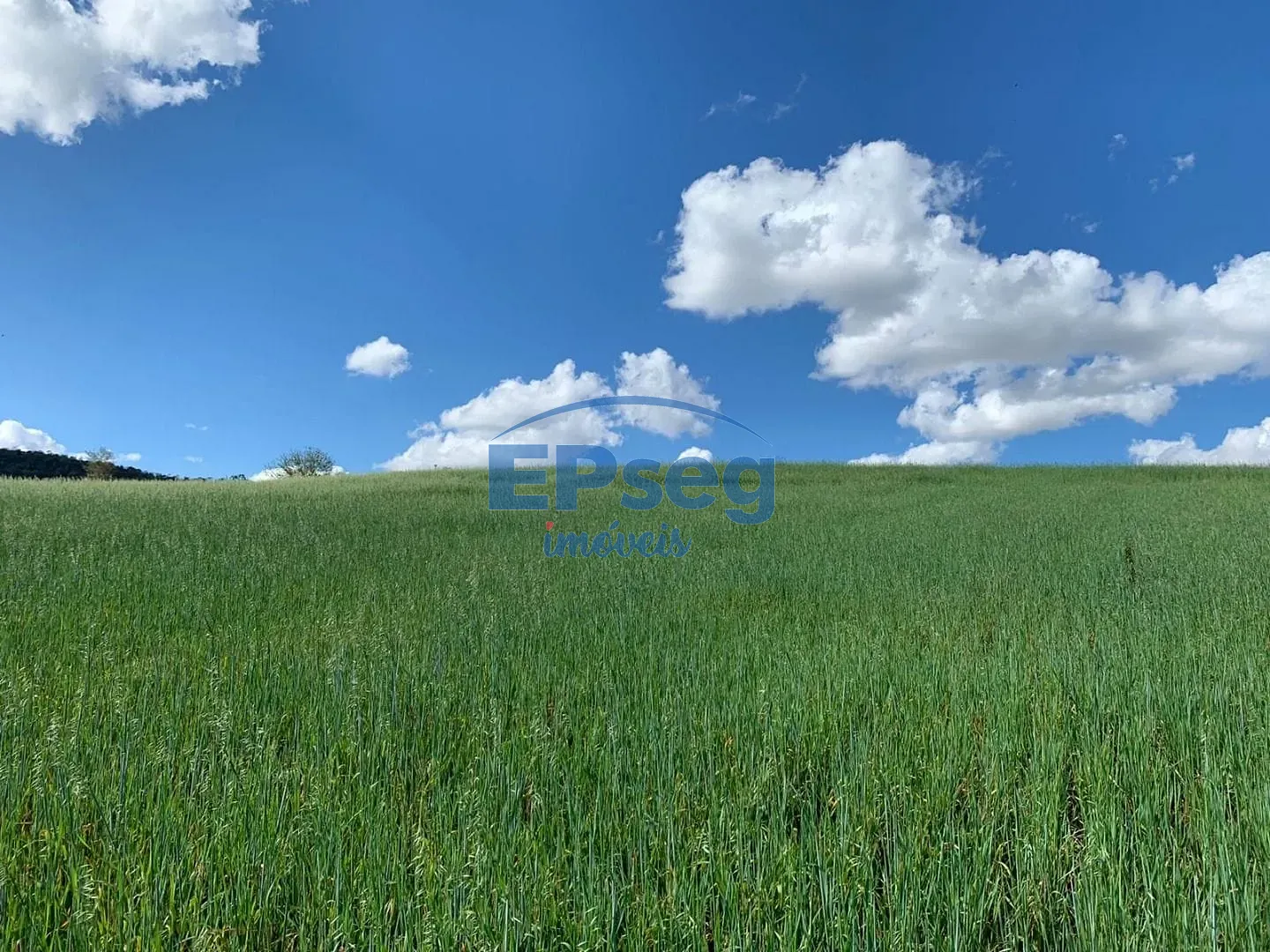 Terreno, 2 hectares - Foto 7