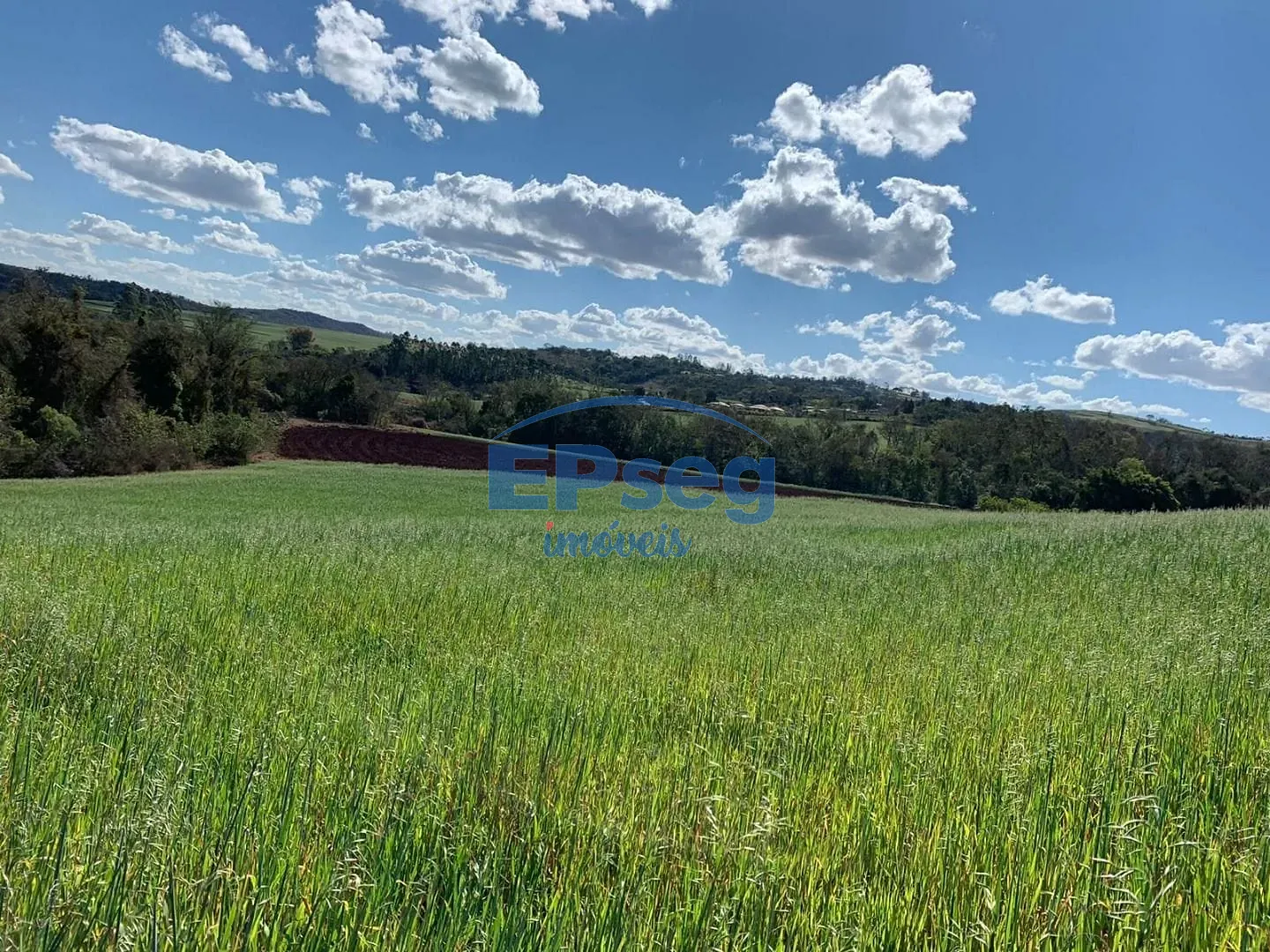 Terreno, 2 hectares - Foto 4