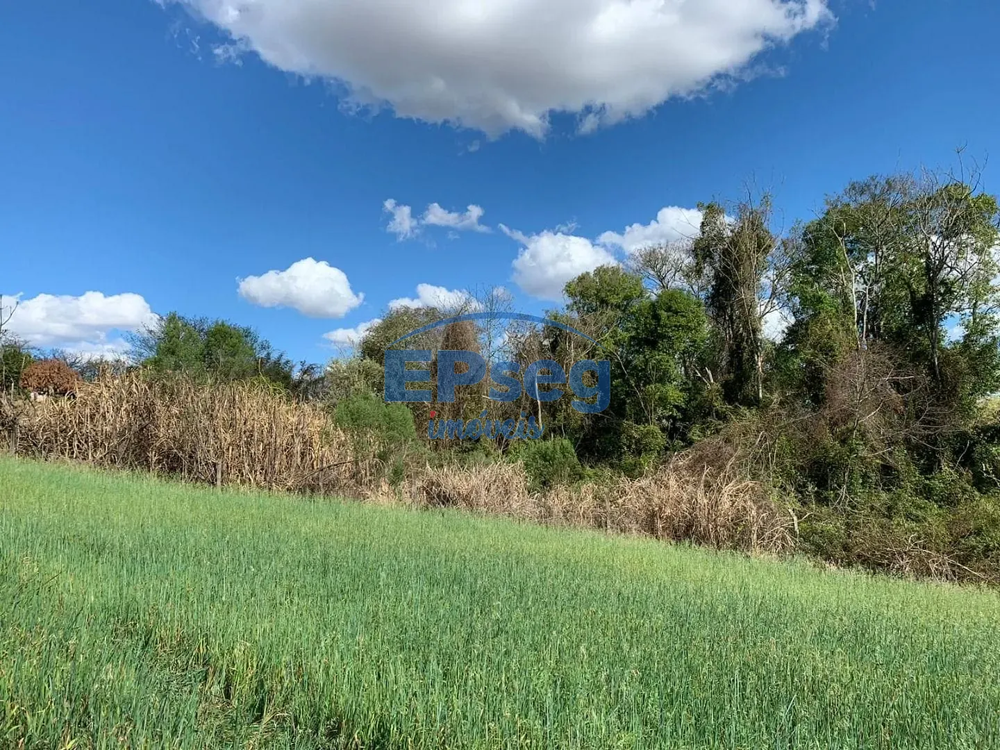 Terreno, 2 hectares - Foto 8