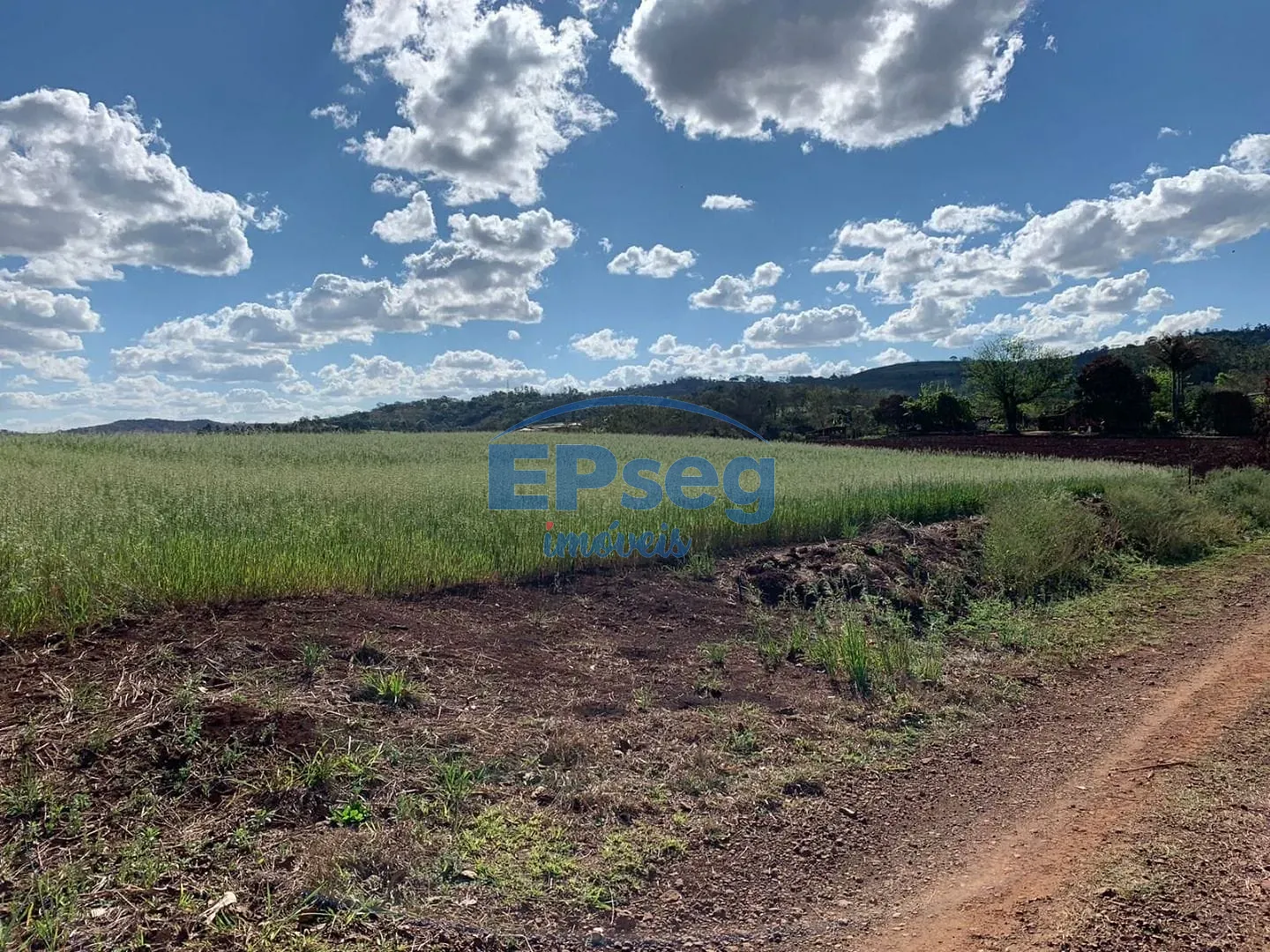 Terreno, 2 hectares - Foto 9