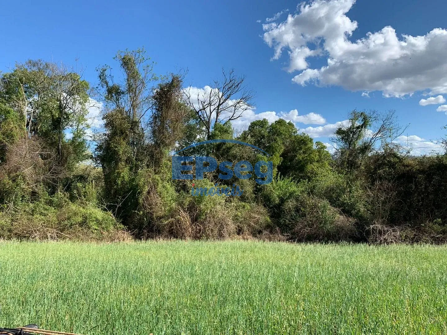 Terreno, 2 hectares - Foto 6