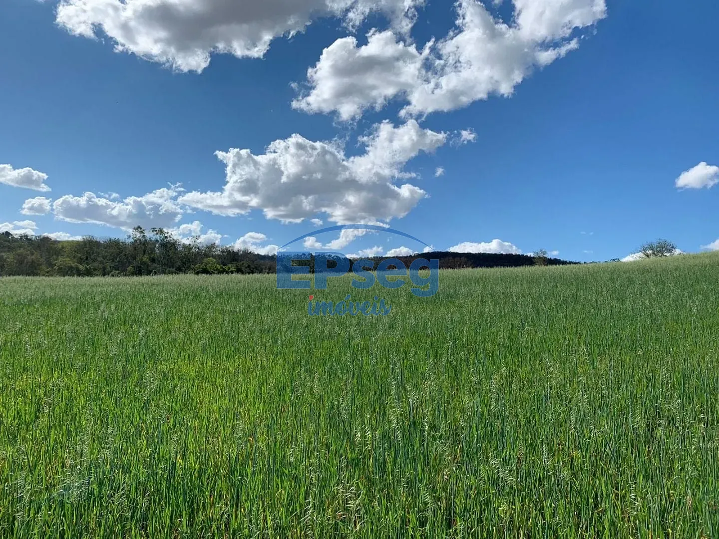 Terreno, 2 hectares - Foto 10