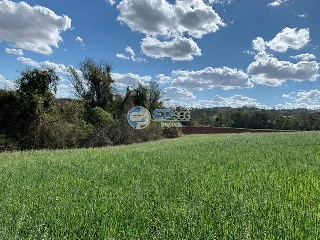 Terreno com 20005m², à venda, no bairro Limoeiro em Londrina