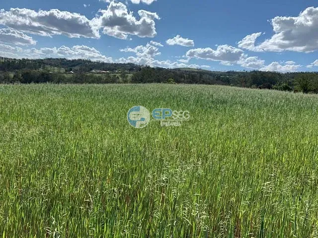Terreno com 20005m², à venda, no bairro Limoeiro em Londrina