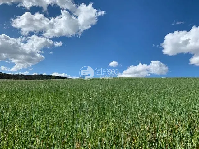Terreno com 20005m², à venda, no bairro Limoeiro em Londrina