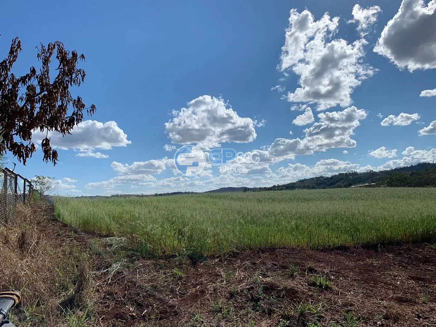 Terreno, 2 hectares - Foto 11