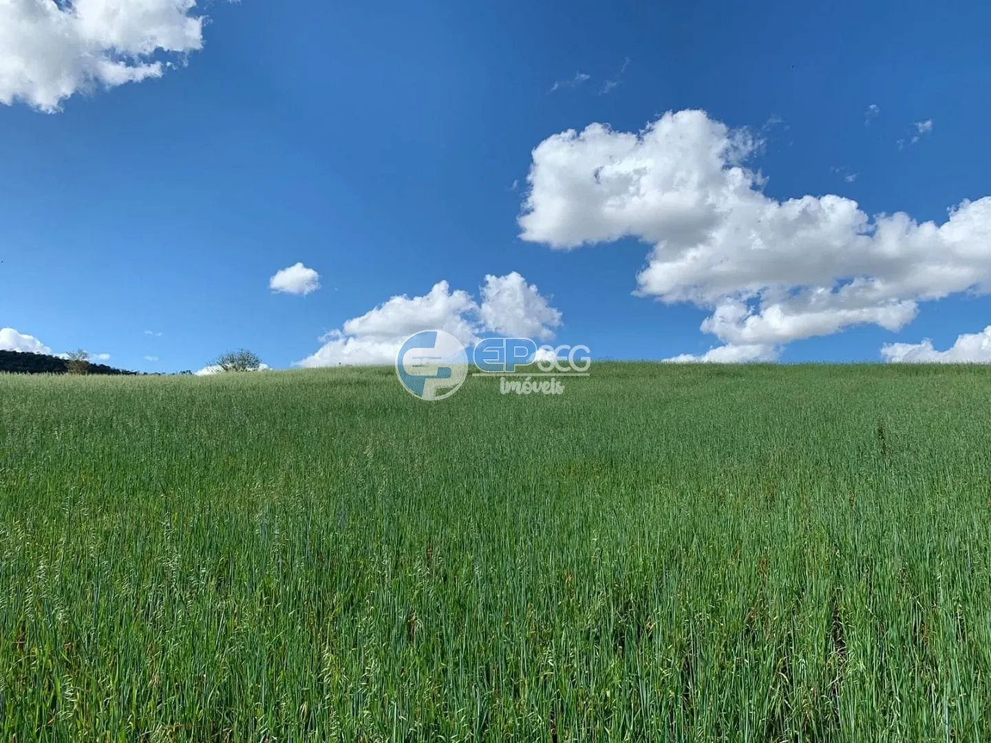 Terreno, 2 hectares - Foto 7