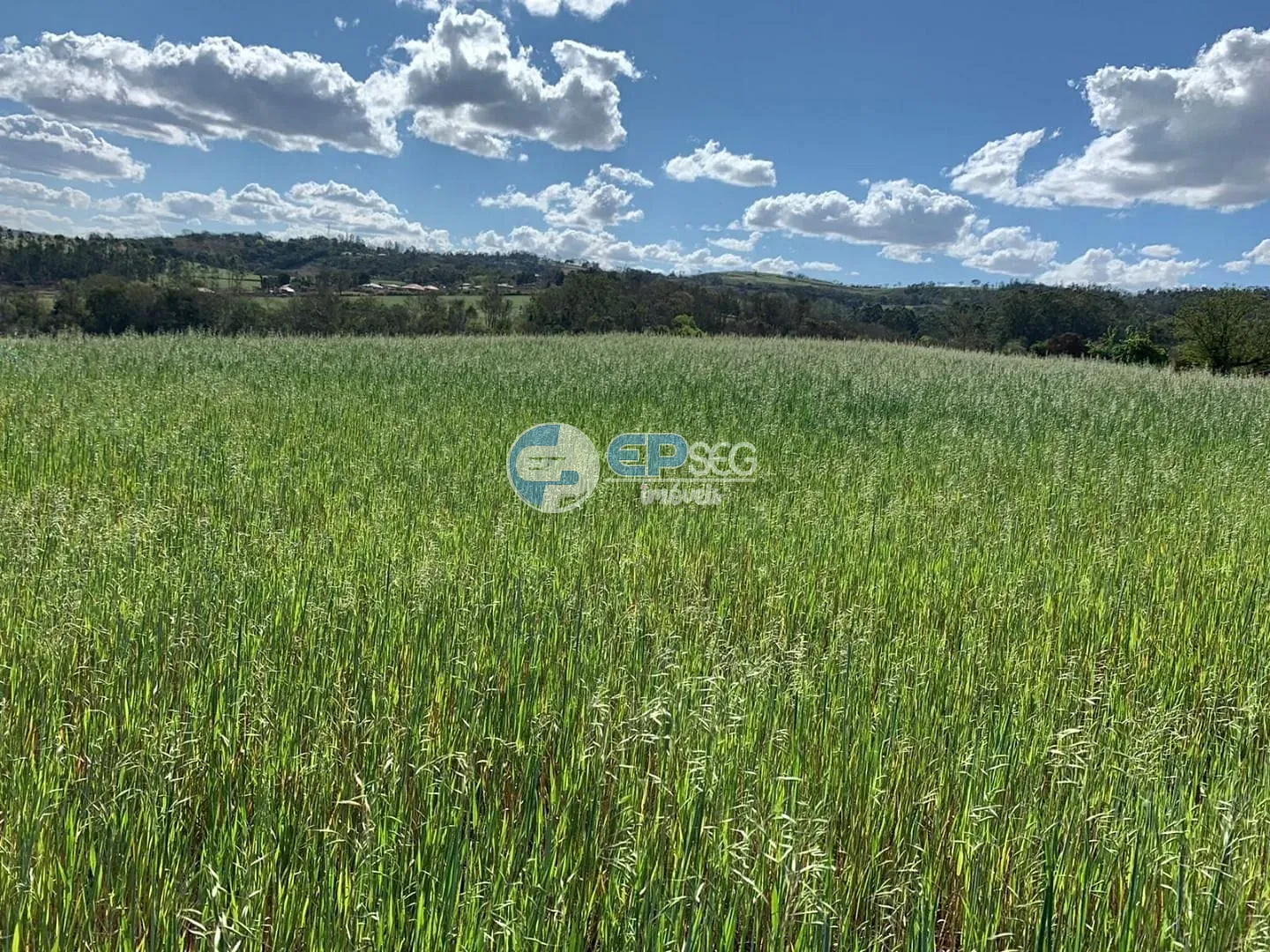 Terreno, 2 hectares - Foto 2