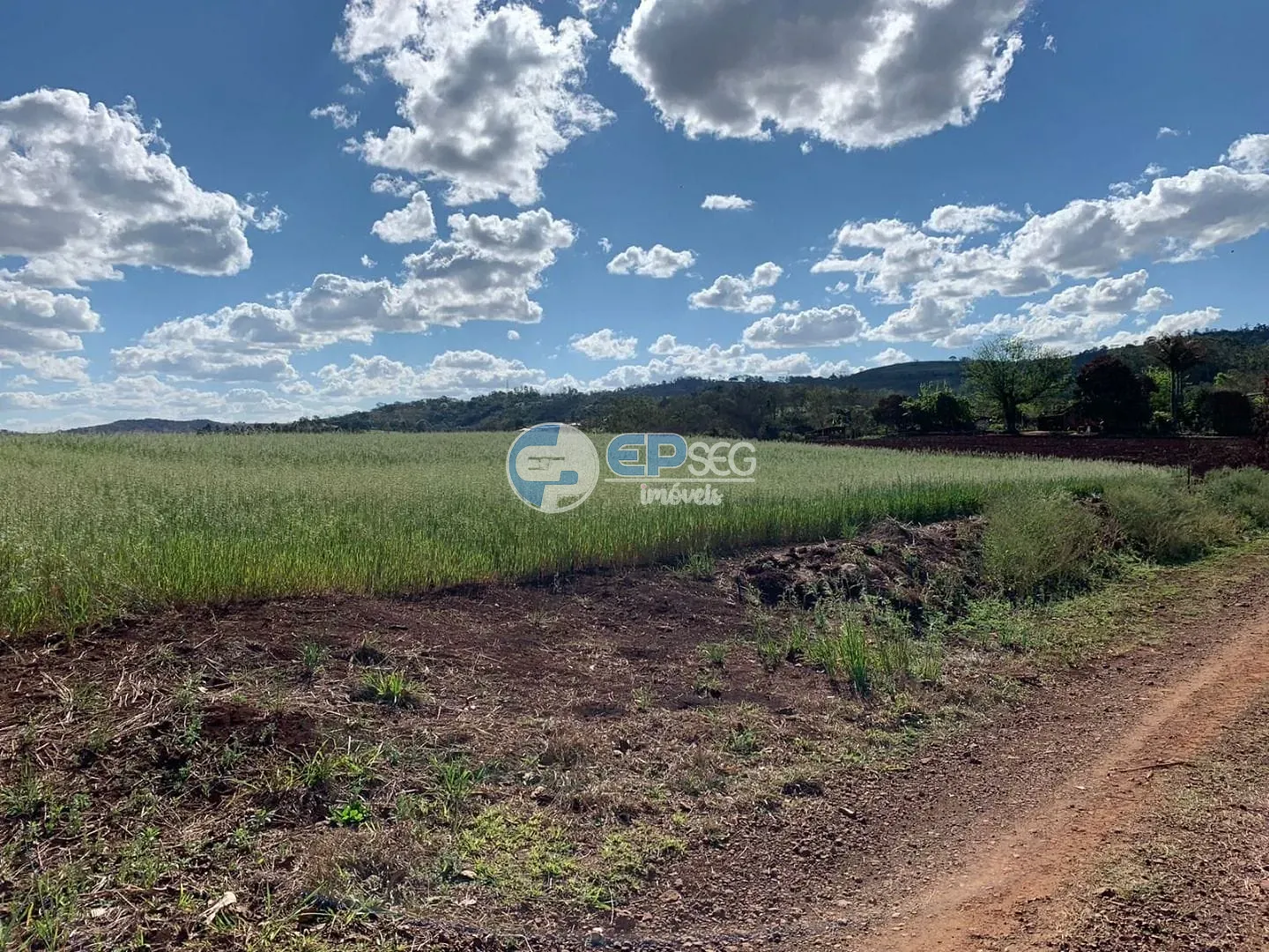 Terreno, 2 hectares - Foto 9