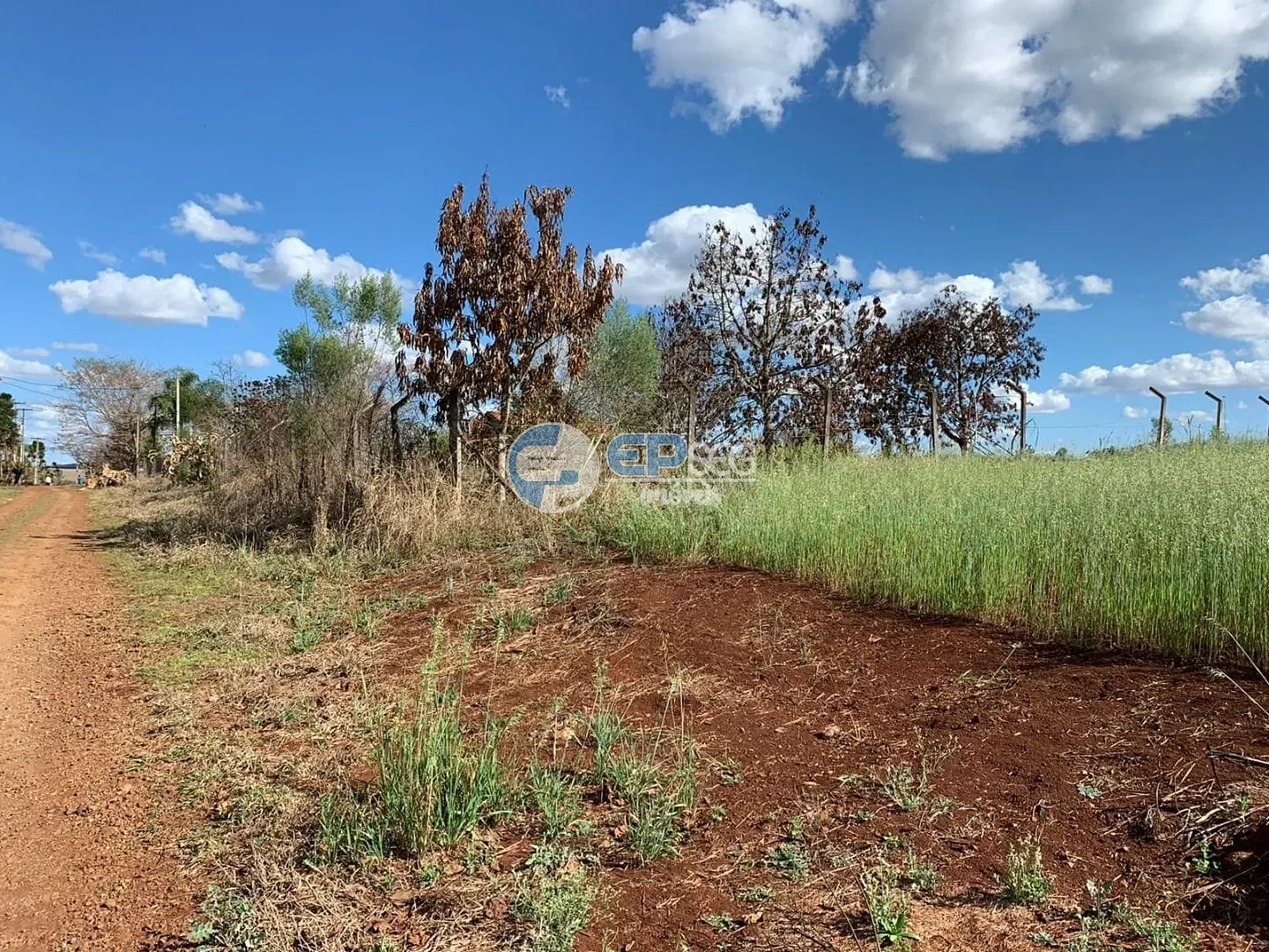 Terreno, 2 hectares - Foto 1