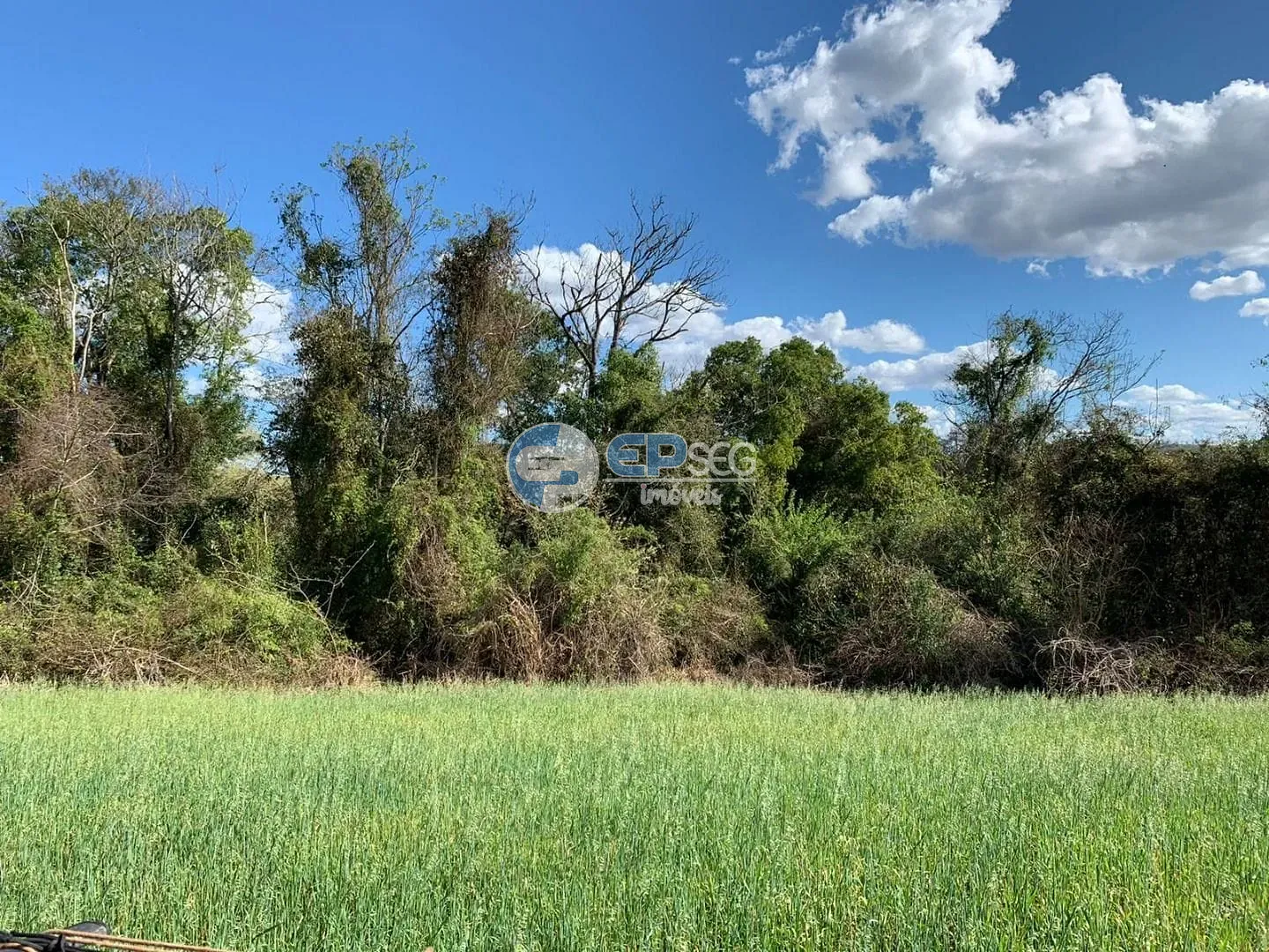 Terreno, 2 hectares - Foto 6