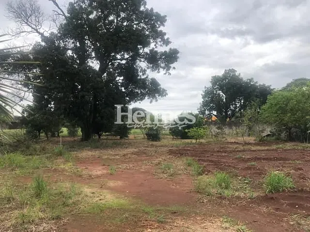 Terreno com 4464m², à venda, no bairro Santa Terezinha em Paulínia