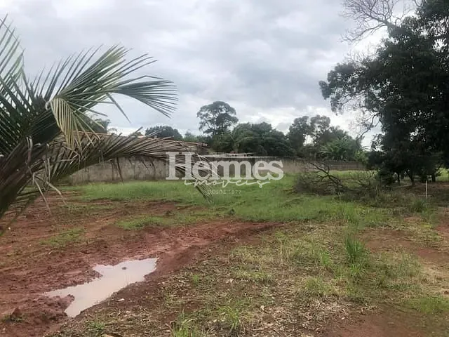 Terreno com 4464m², à venda, no bairro Santa Terezinha em Paulínia