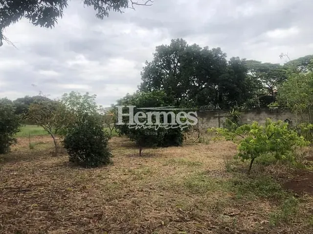 Terreno com 4464m², à venda, no bairro Santa Terezinha em Paulínia