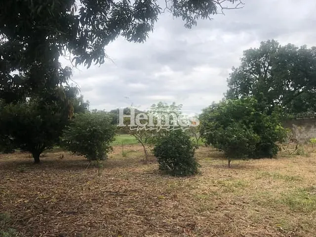 Terreno com 4464m², à venda, no bairro Santa Terezinha em Paulínia