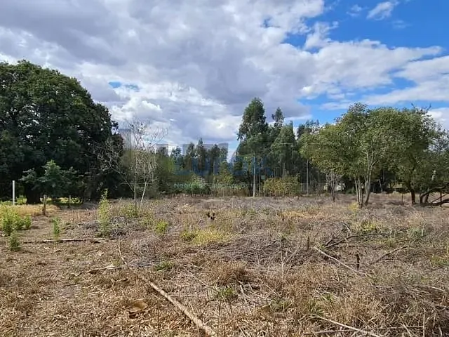 Terreno com 19570m², à venda, no bairro Sítio Recreio dos Cafezais em Valinhos