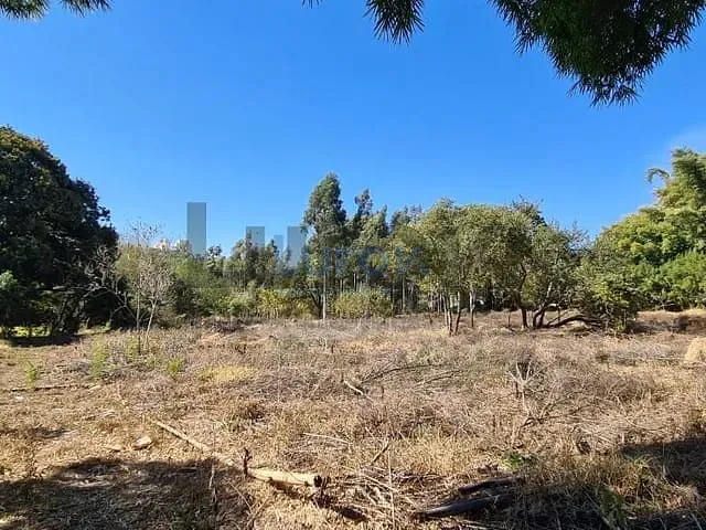Terreno com 19570m², à venda, no bairro Sítio Recreio dos Cafezais em Valinhos