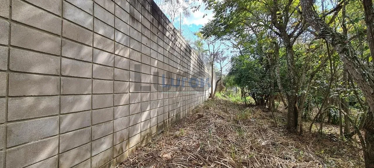 Terreno, 2 hectares - Foto 4