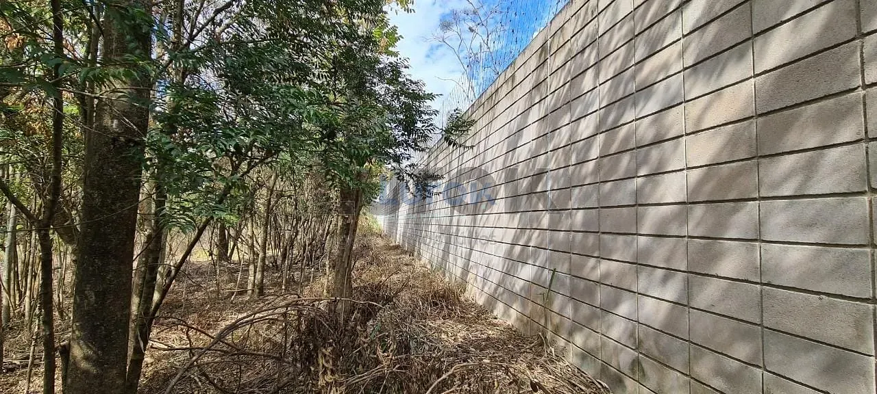 Terreno, 2 hectares - Foto 6