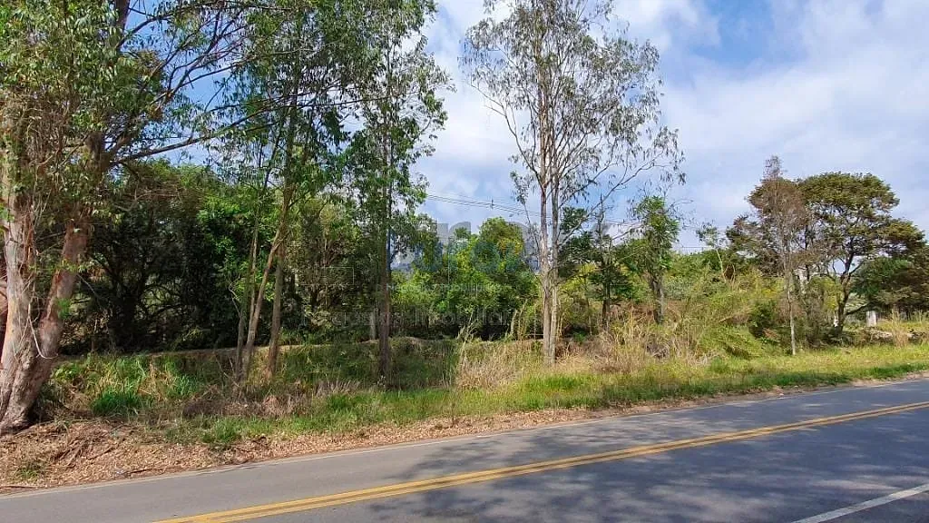Terreno, 2 hectares - Foto 8