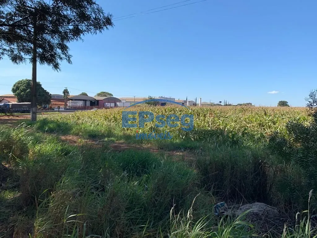 Terreno, 2 hectares - Foto 8