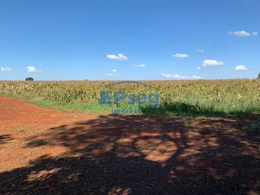 Terreno, 2 hectares - Foto 10
