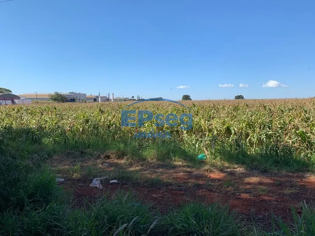 Terreno, 2 hectares - Foto 6