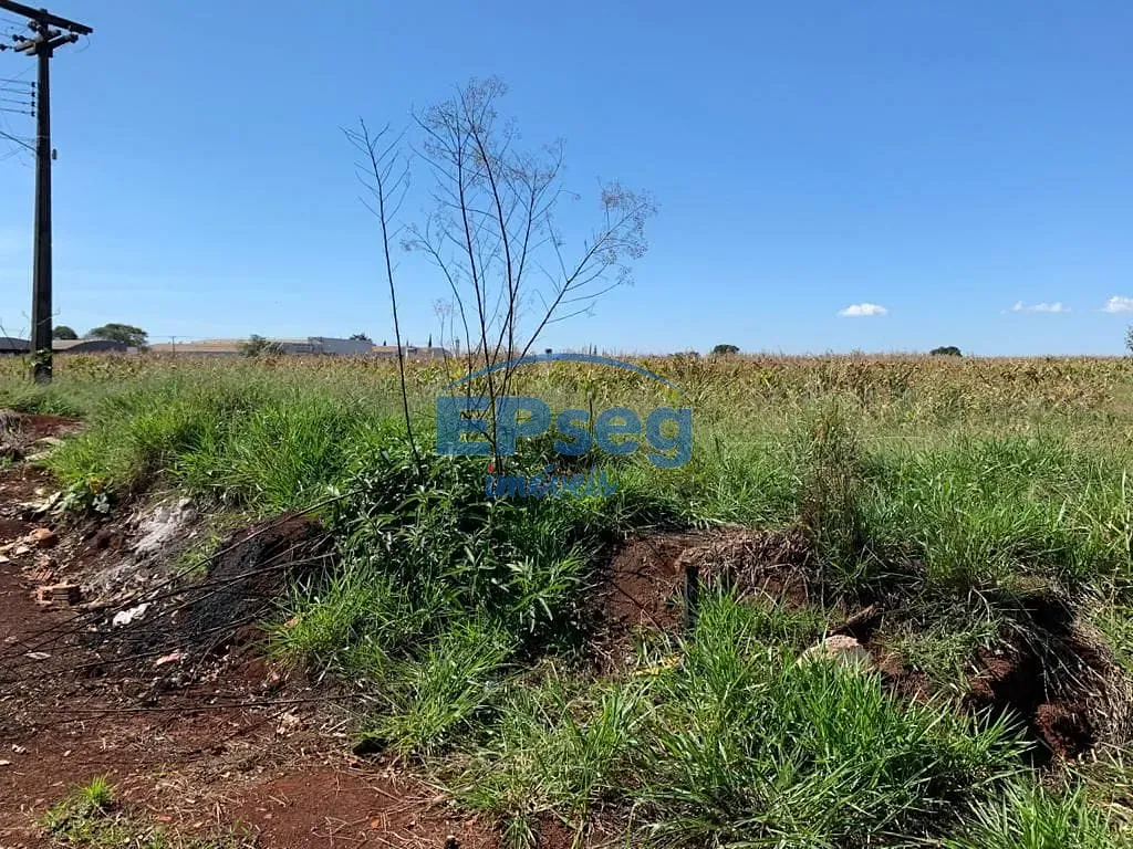 Terreno, 2 hectares - Foto 4