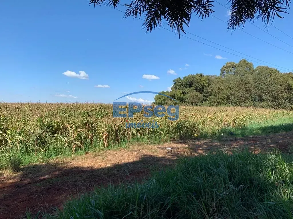 Terreno, 2 hectares - Foto 7