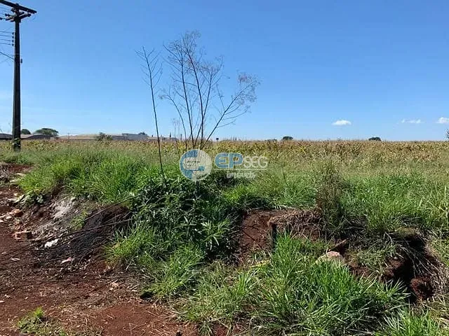 Terreno com 20000m², à venda, no bairro Parque Industrial V em Arapongas