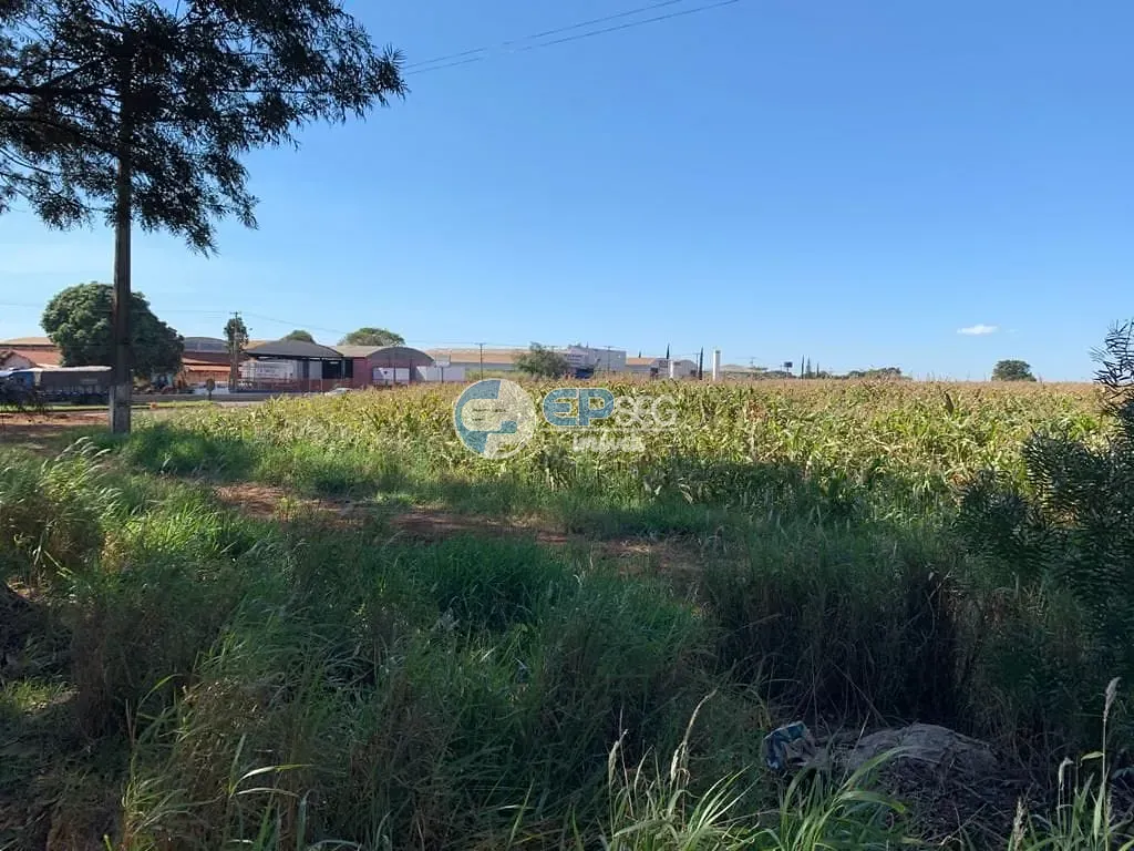 Terreno, 2 hectares - Foto 8