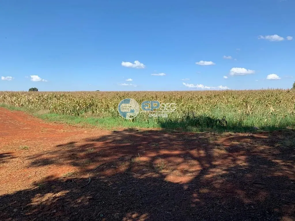 Terreno, 2 hectares - Foto 10