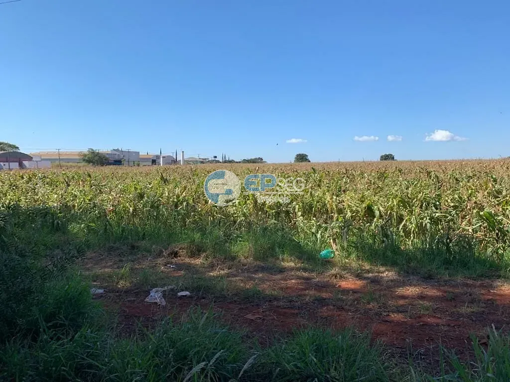 Terreno, 2 hectares - Foto 6