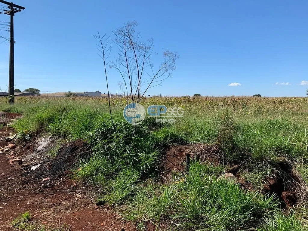 Terreno, 2 hectares - Foto 4