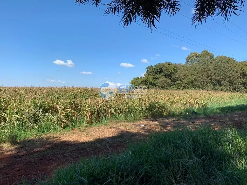 Terreno, 2 hectares - Foto 7