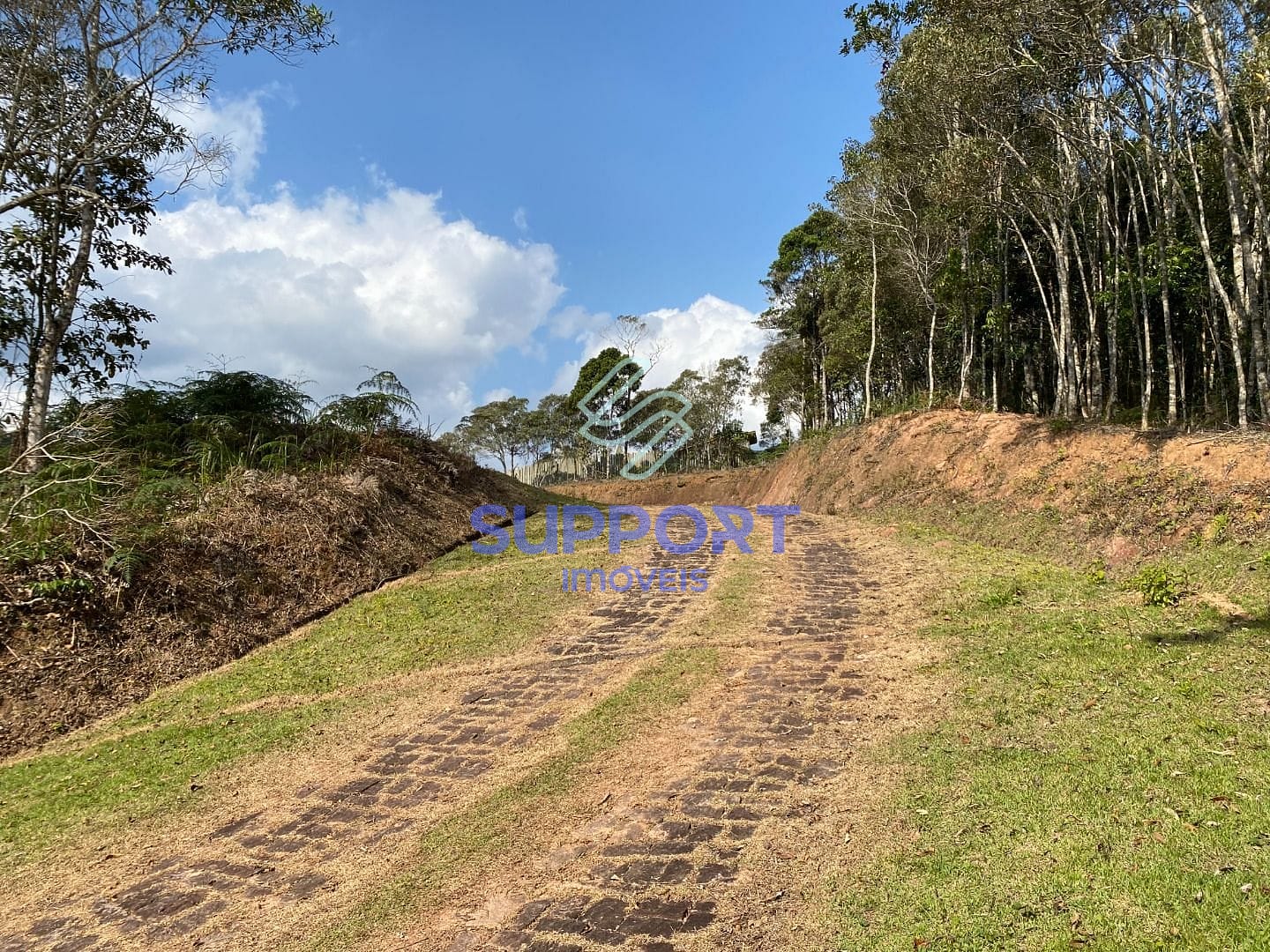 Terreno, 3803 m² - Foto 4