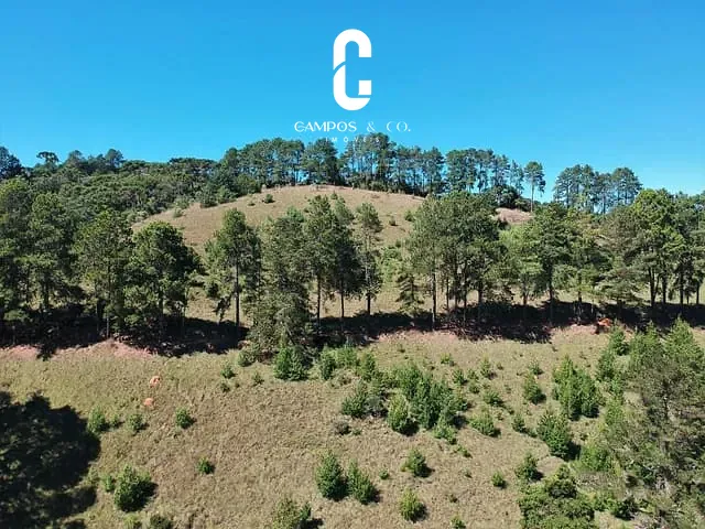 Terreno com 40620m², à venda, no bairro Umuarama em Campos Do Jordão