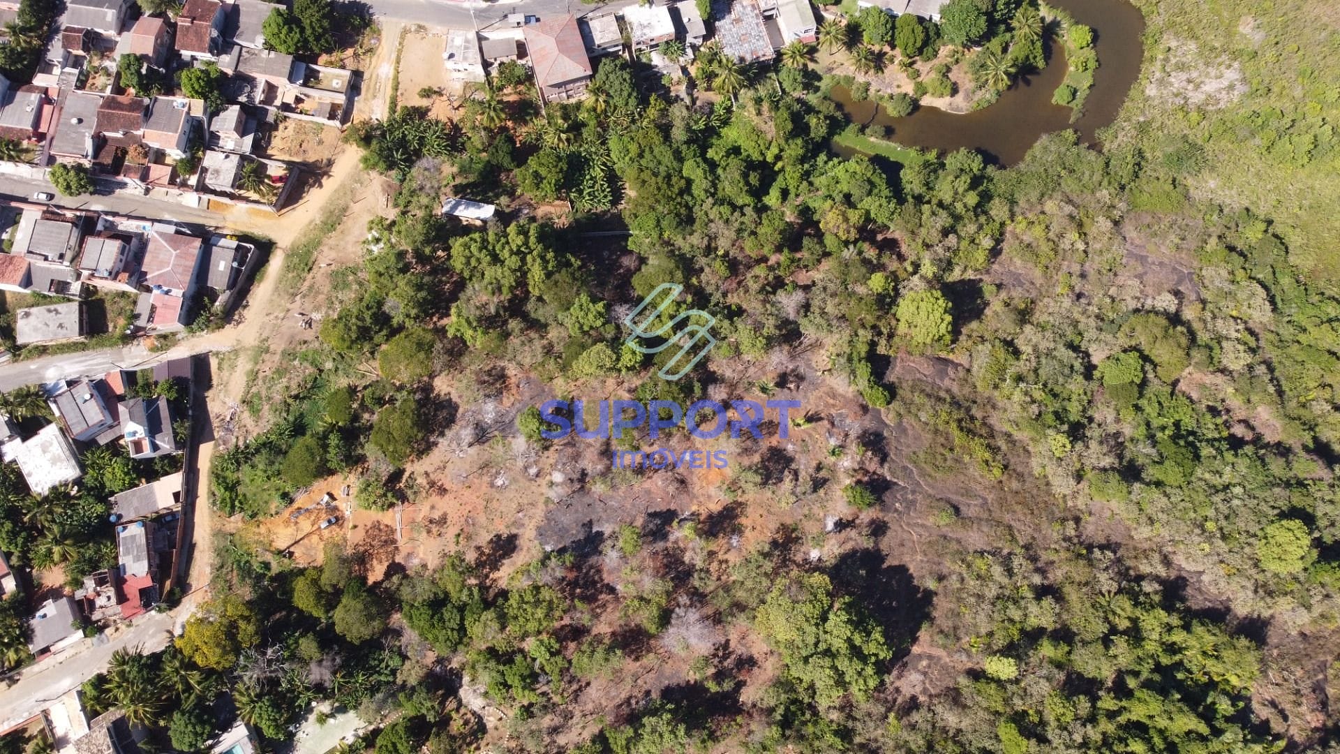 Terreno, 3 hectares - Foto 4