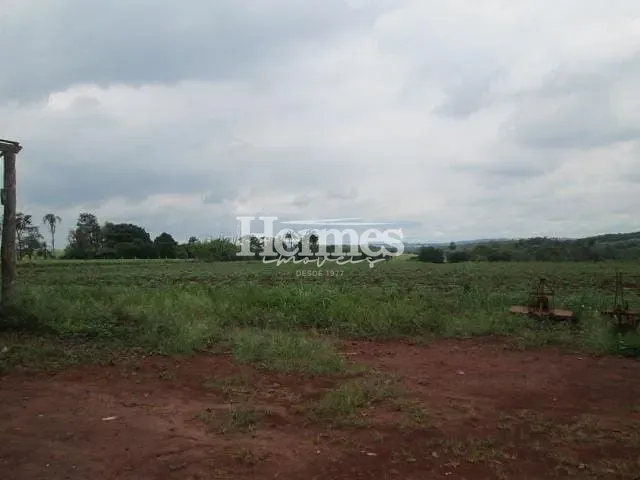 Terreno com 44362m² 2 quartos e 1 banheiro, à venda, no bairro Betel em Paulínia