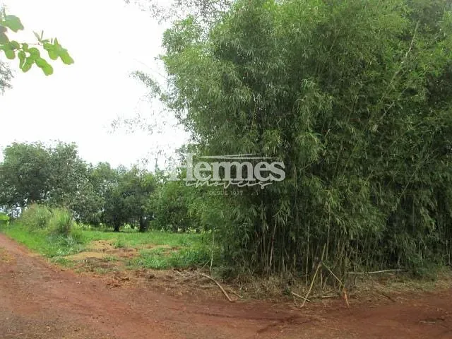 Terreno com 44362m² 2 quartos e 1 banheiro, à venda, no bairro Betel em Paulínia